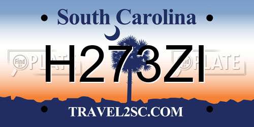 H273ZI South Carolina License Plate