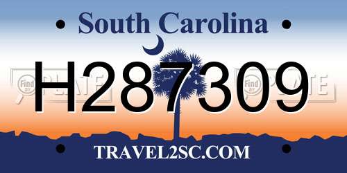 H287309 South Carolina License Plate
