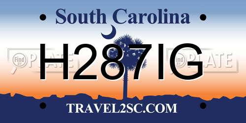 H287IG South Carolina License Plate