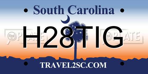 H28TIG South Carolina License Plate