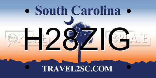 H28ZIG South Carolina License Plate