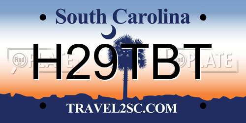 H29TBT South Carolina License Plate