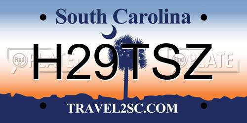 H29TSZ South Carolina License Plate