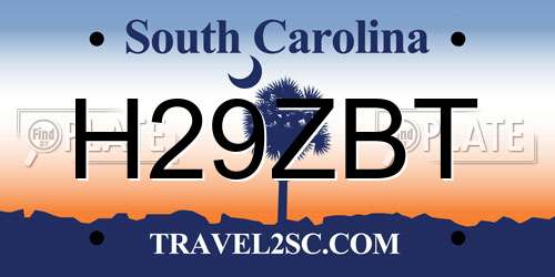 H29ZBT South Carolina License Plate