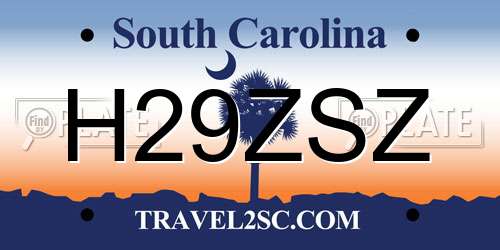 H29ZSZ South Carolina License Plate