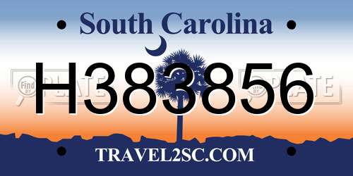 H383856 South Carolina License Plate