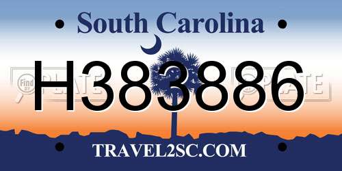 H383886 South Carolina License Plate