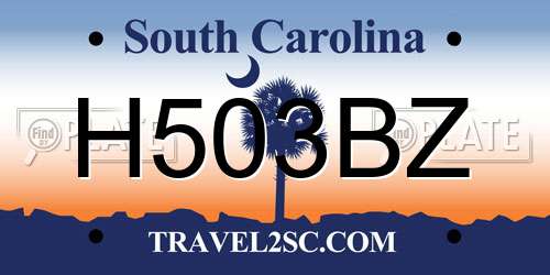H503BZ South Carolina License Plate