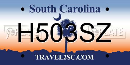 H503SZ South Carolina License Plate