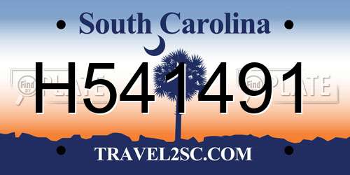 H541491 South Carolina License Plate