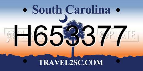 H653377 South Carolina License Plate