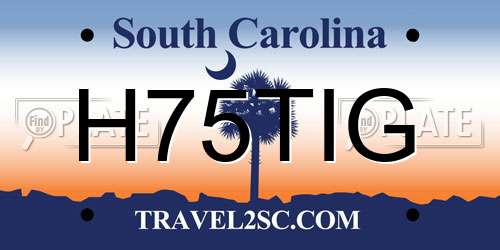 H75TIG South Carolina License Plate