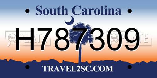 H787309 South Carolina License Plate