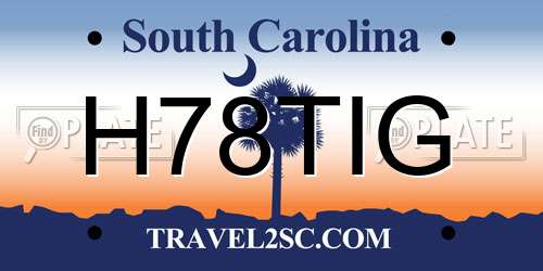 H78TIG South Carolina License Plate