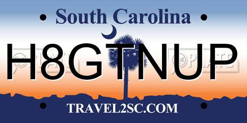H8GTNUP South Carolina License Plate
