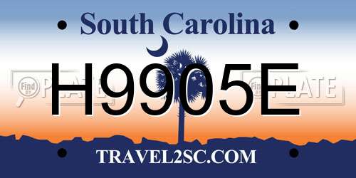H9905E South Carolina License Plate