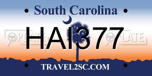 HAI377 South Carolina License Plate