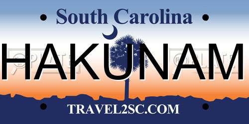 HAKUNAM South Carolina License Plate