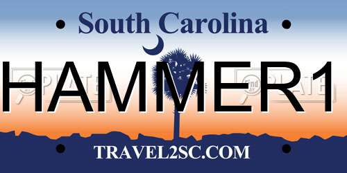 HAMMER1 South Carolina License Plate