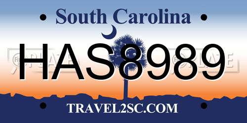 HAS8989 South Carolina License Plate