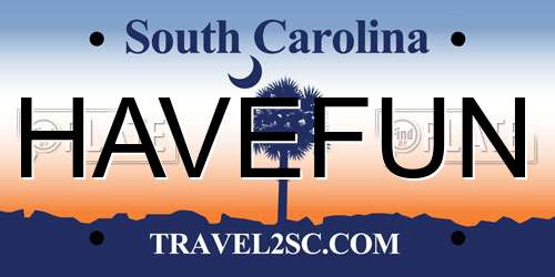 HAVEFUN South Carolina License Plate
