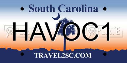 HAVOC1 South Carolina License Plate