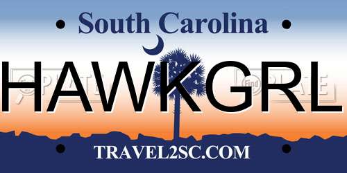 HAWKGRL South Carolina License Plate