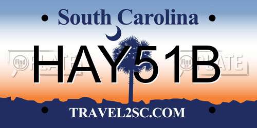 HAY51B South Carolina License Plate
