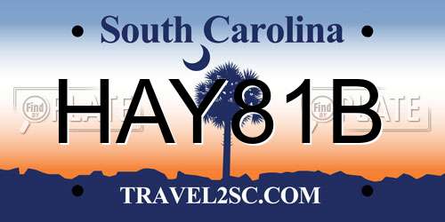 HAY81B South Carolina License Plate