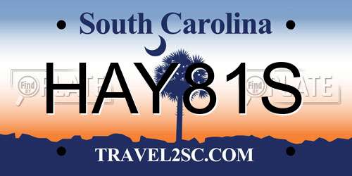 HAY81S South Carolina License Plate