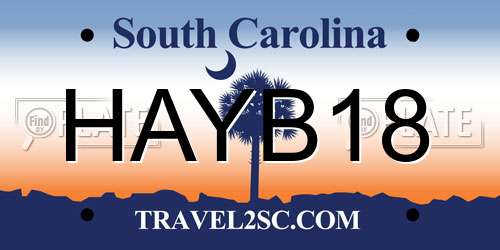 HAYB18 South Carolina License Plate