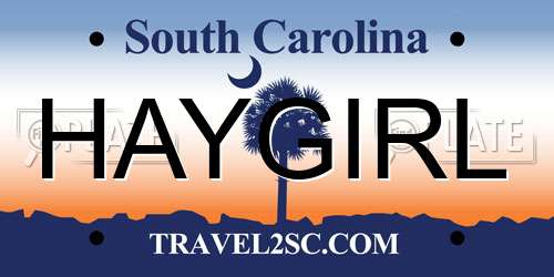 HAYGIRL South Carolina License Plate