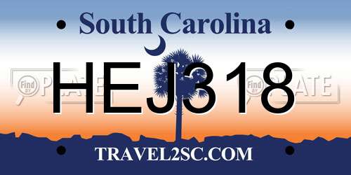 HEJ318 South Carolina License Plate