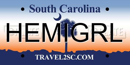 HEMIGRL South Carolina License Plate