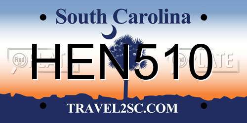 HEN510 South Carolina License Plate