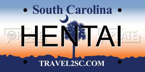 HENTAI South Carolina License Plate