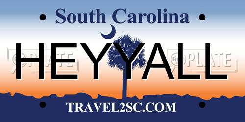 HEYYALL South Carolina License Plate