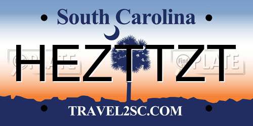 HEZTTZT South Carolina License Plate