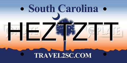 HEZTZTT South Carolina License Plate