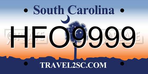 HFO9999 South Carolina License Plate