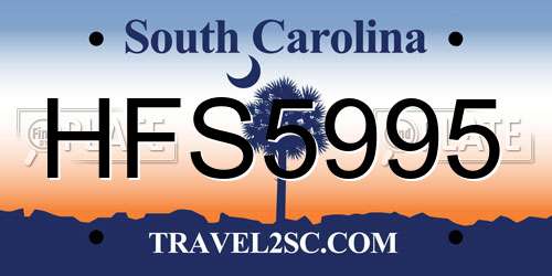 HFS5995 South Carolina License Plate