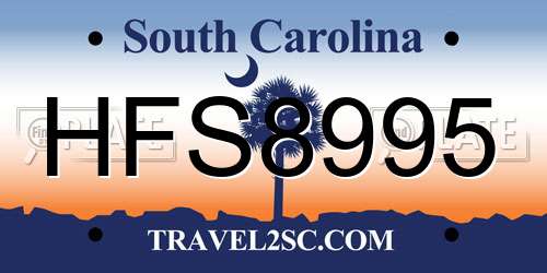 HFS8995 South Carolina License Plate