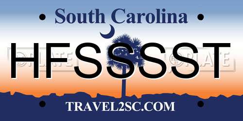 HFSSSST South Carolina License Plate