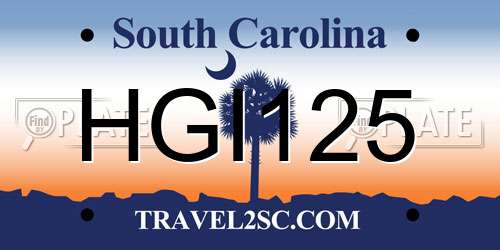 HGI125 South Carolina License Plate