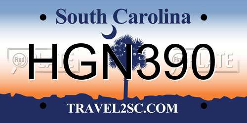 HGN390 South Carolina License Plate