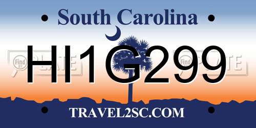 HI1G299 South Carolina License Plate