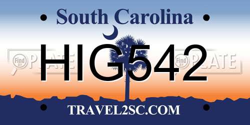 HIG542 South Carolina License Plate