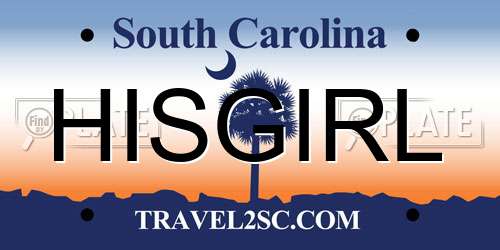 HISGIRL South Carolina License Plate
