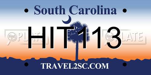 HIT113 South Carolina License Plate