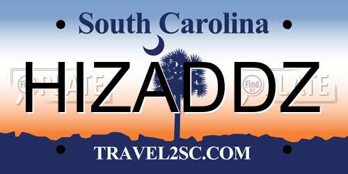HIZADDZ South Carolina License Plate